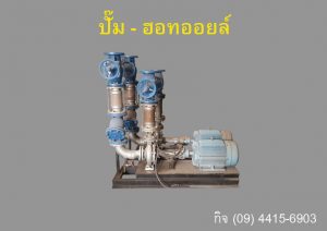 ปั้มน้ำมันฮอทออยล์ /Hot Oil Pump